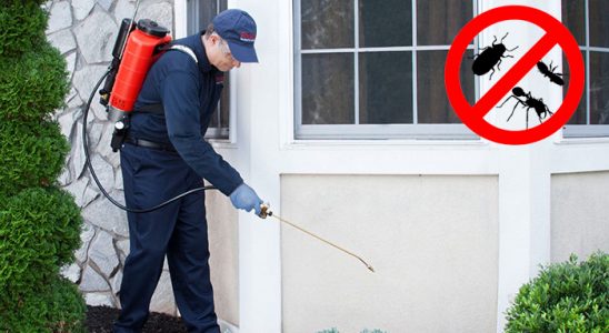 Kepsut Kemirgen İlaçlama böcek ilaçlama ve haşere kontrolü — ilaclama-tr.com